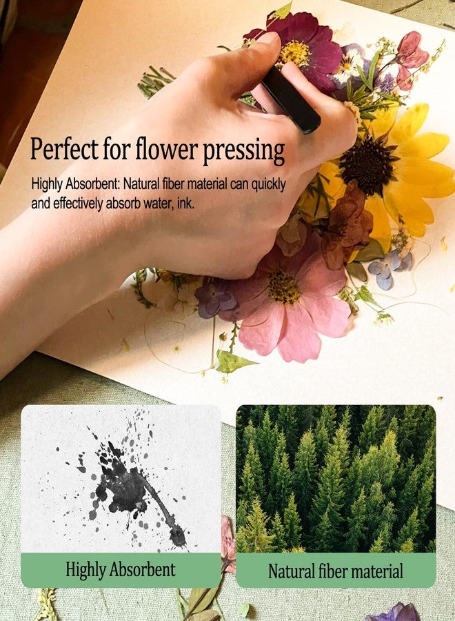 Ecoofor Blotting Paper for Flower Press, 20 Sheets Large A4 Highly Absorbent and Reusable Blotter Paper for Flower Press Paper Craft 8.26 x 11.4 inch - Image 4